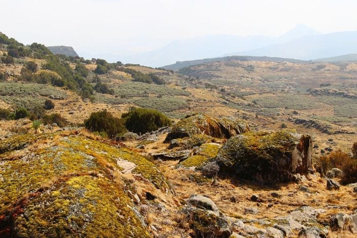 Bale Mountains Ethiopia Sanetti Plateau