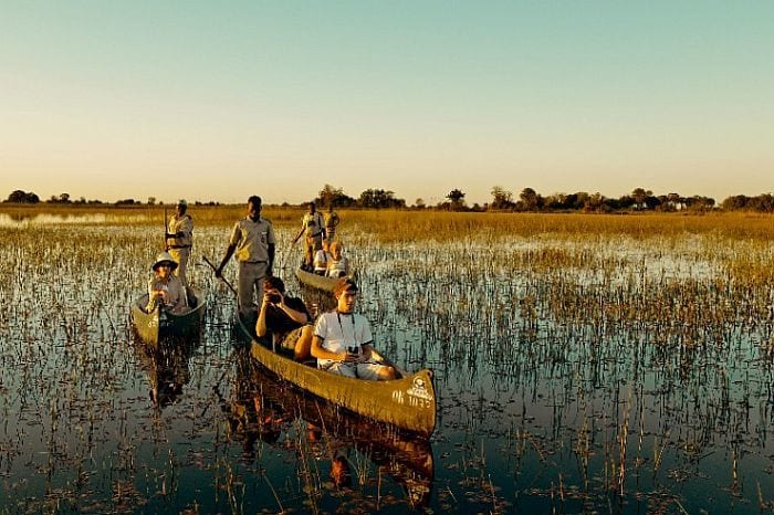 Cedarberg Travel | Botswana Water & Wildlife Safari