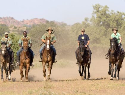 Mashatu horse safaris