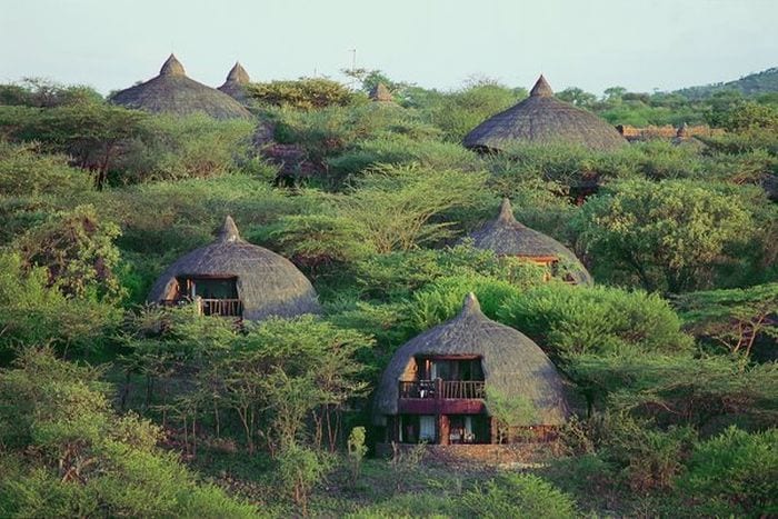 Cedarberg Travel | Tanzania Discovery Safari
