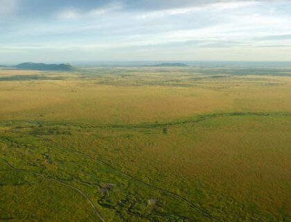 Hot air balloon safari over Serengeti plains
