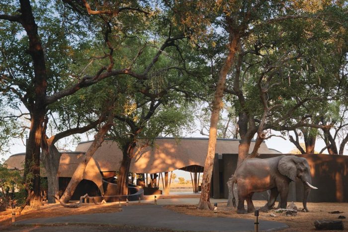 Cedarberg Travel | Belmond Eagle Island Lodge