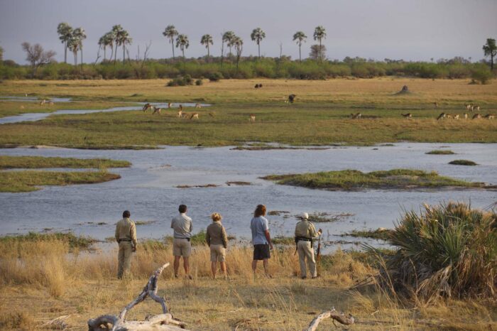 Cedarberg Travel | andBeyond Sandibe Okavango Safari Lodge