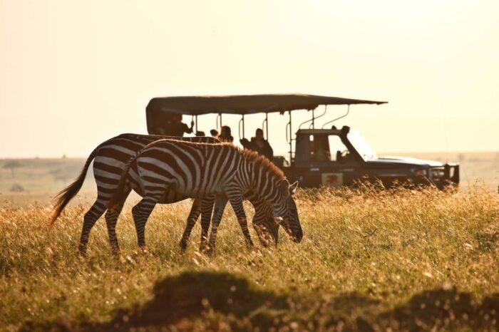 Cedarberg Travel | Kenyan Exploration Fly-in Safari