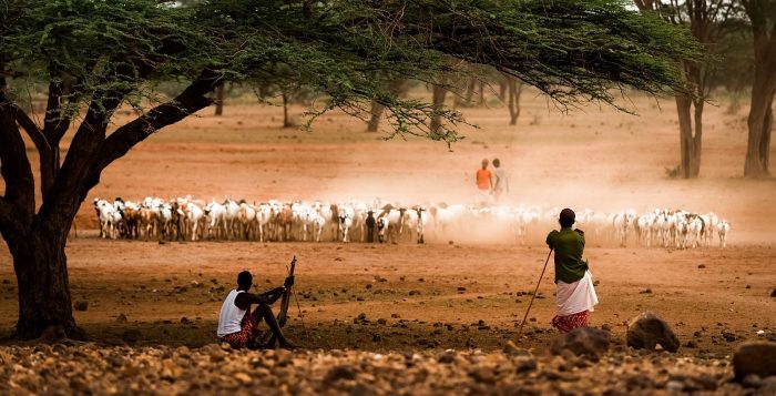 Cedarberg Travel | Saruni Experience fly-in safari