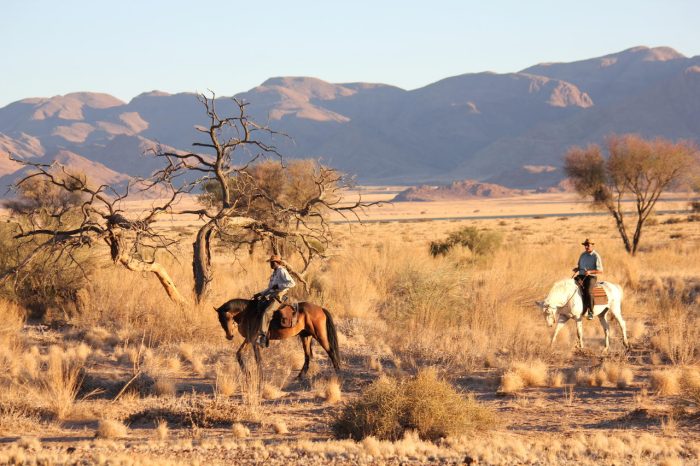 Cedarberg Travel | Desert Homestead