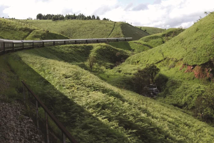 Cedarberg Travel | Trail of Two Oceans Rovos Rail