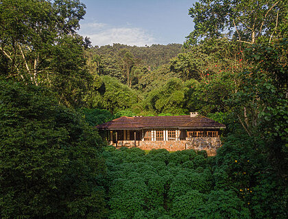 15-bwindi_lodge-deluxe_roomdji_0733