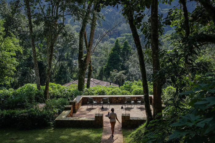 Cedarberg Travel | Bwindi Lodge