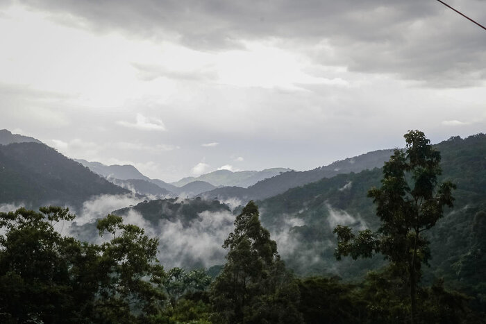 Cedarberg Travel | Bwindi Lodge