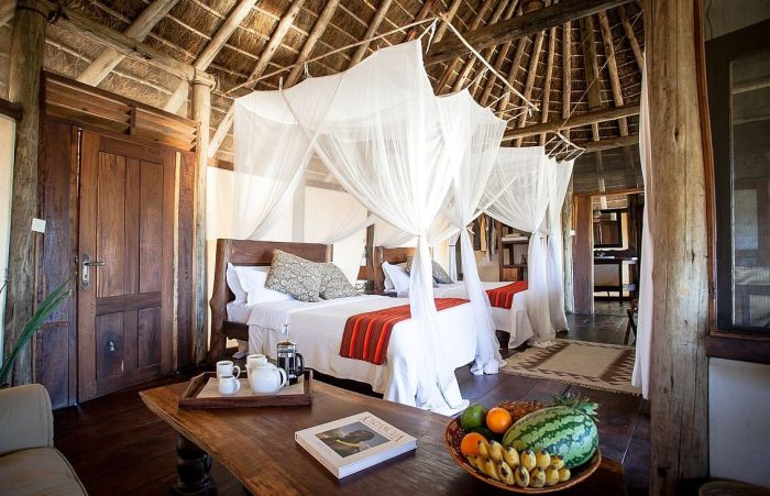 Cedarberg Travel | Apoka Safari Lodge