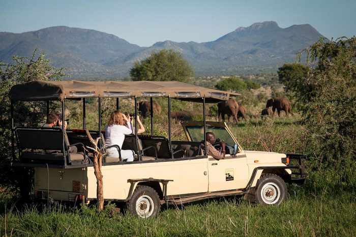 Cedarberg Travel | Apoka Safari Lodge