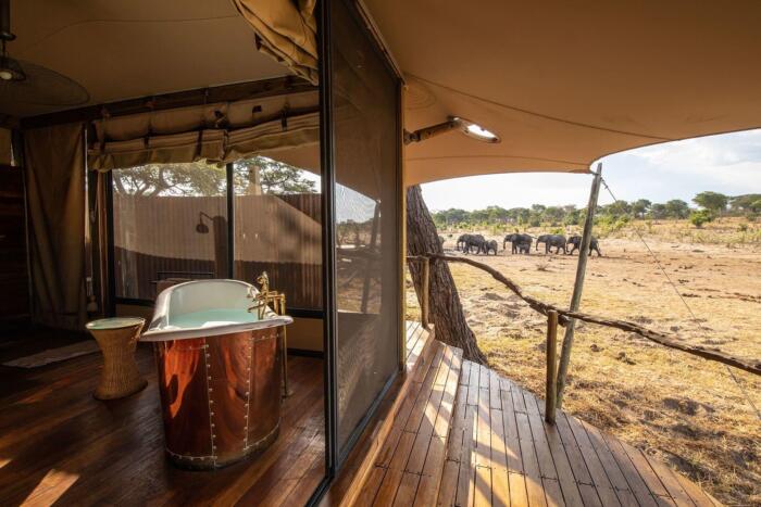 Cedarberg Travel | Somalisa Acacia Camp