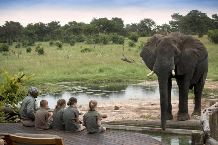 Cedarberg Travel | Somalisa Acacia Camp