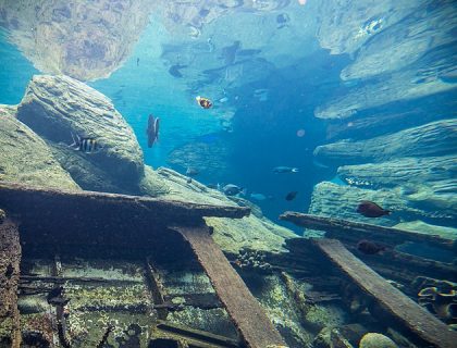 uShaka Marine World - courtesy of Wikimedia multimedia commons - photo by South African Tourism