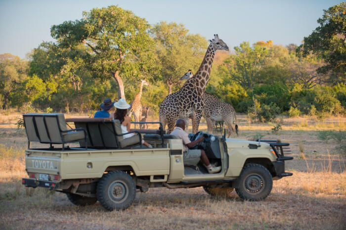 Cedarberg Travel | Robin's House