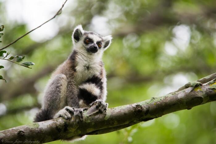 Cedarberg Travel | Mandrare River Camp