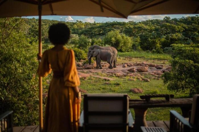 Cedarberg Travel | Makweti Safari Lodge
