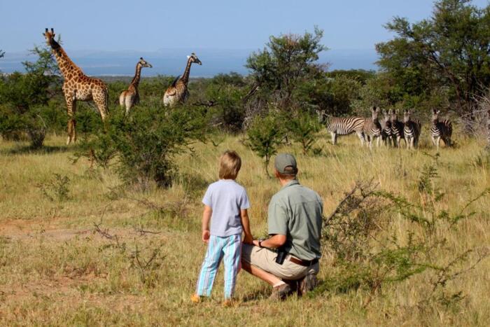 Cedarberg Travel | Ant's Nest