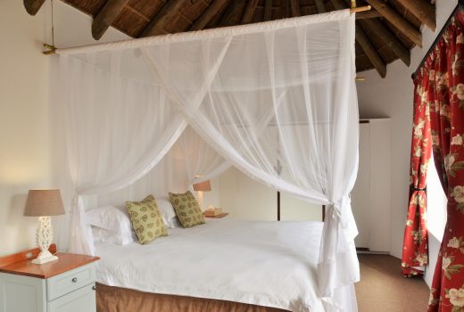 De Hoop Collection