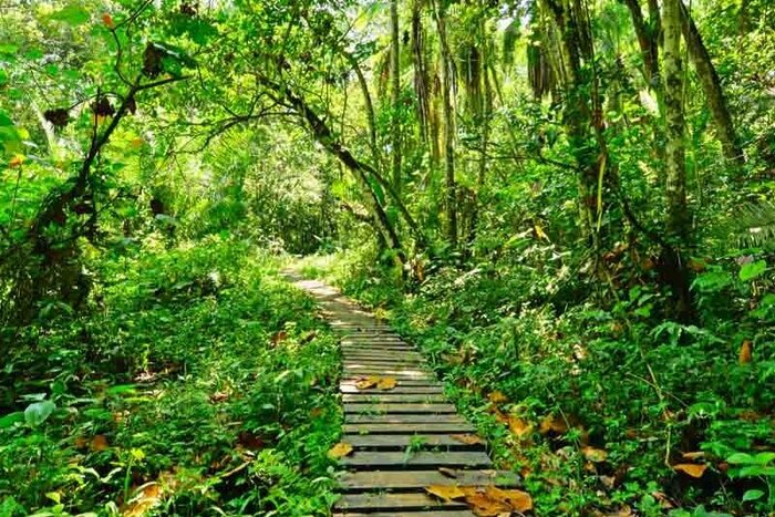 Cedarberg Travel | Primate Lodge Kibale