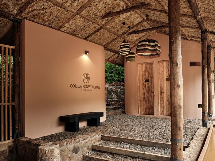 Cedarberg Travel | Gorilla Forest Lodge, an A&K Sanctuary