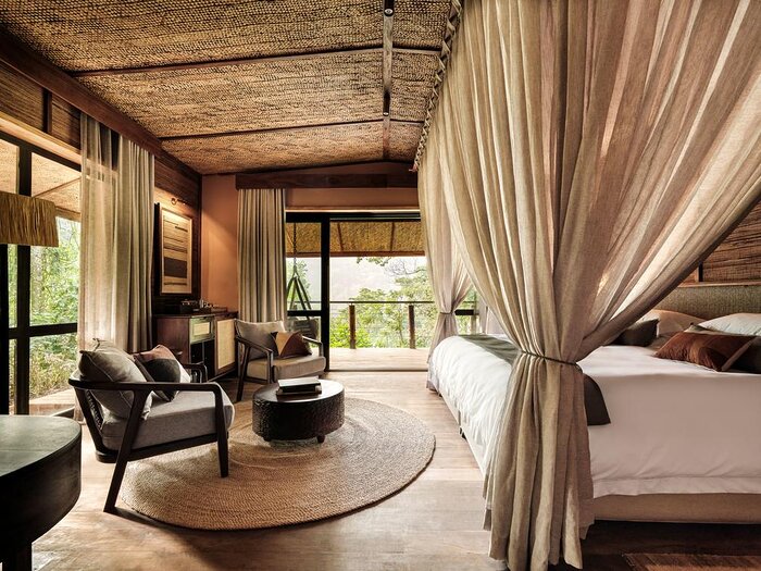 Cedarberg Travel | Gorilla Forest Lodge, an A&K Sanctuary