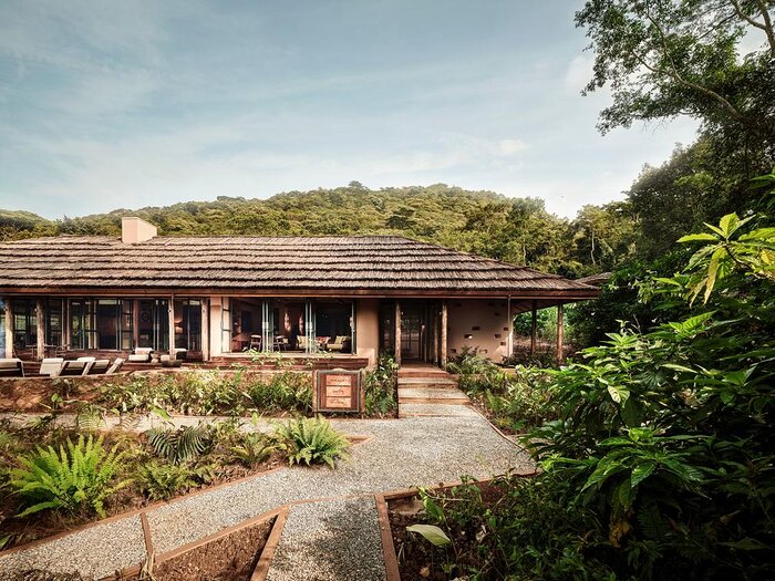 Cedarberg Travel | Gorilla Forest Lodge, an A&K Sanctuary