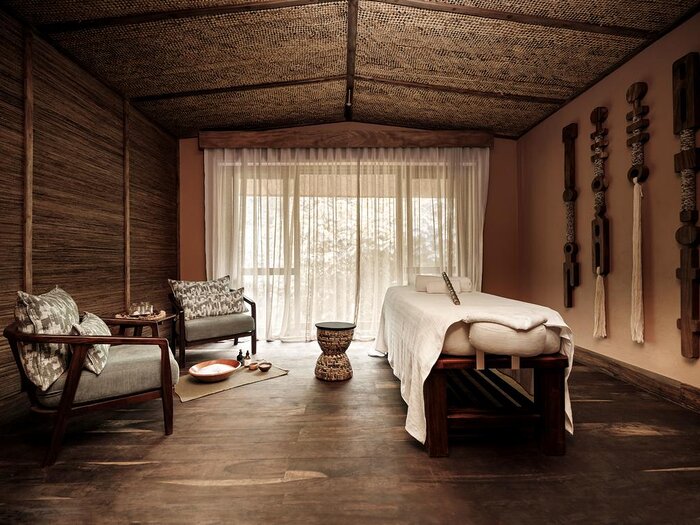 Cedarberg Travel | Gorilla Forest Lodge, an A&K Sanctuary