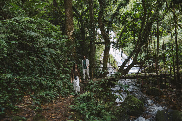 Cedarberg Travel | Gorilla Forest Lodge, an A&K Sanctuary