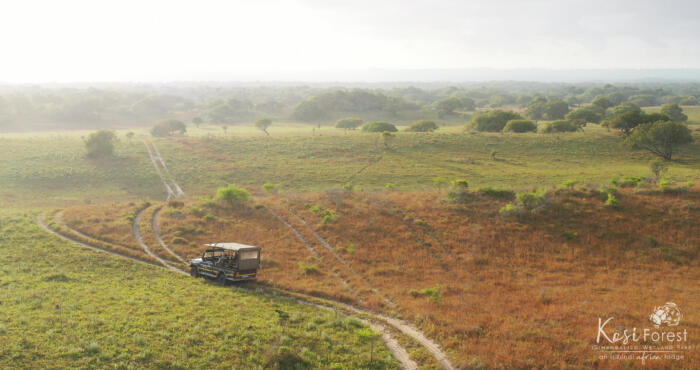 Cedarberg Travel | Kosi Forest Lodge
