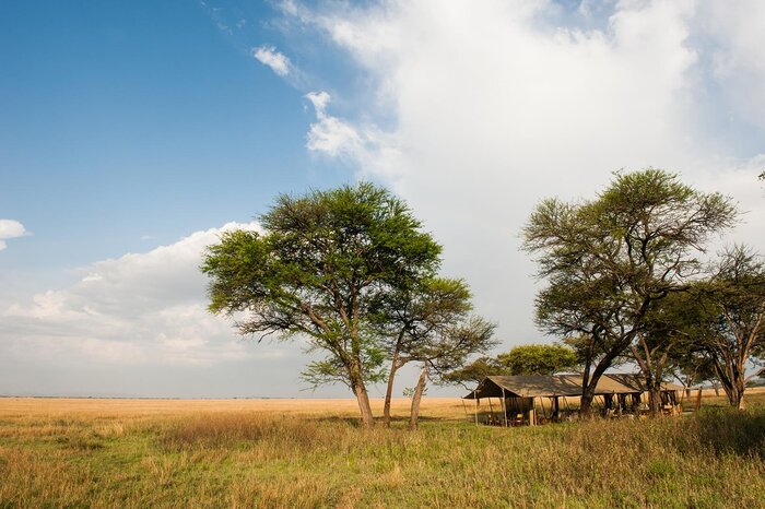 Cedarberg Travel | Serengeti Safari Camp