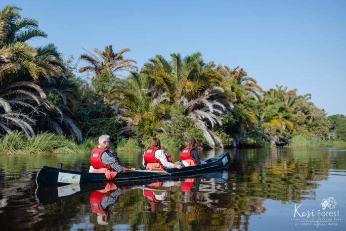 Cedarberg Travel | Kosi Forest Lodge