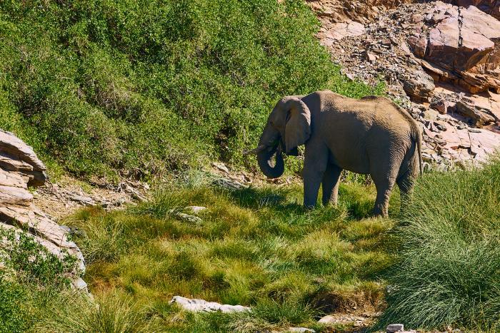 Cedarberg Travel | Huab Lodge