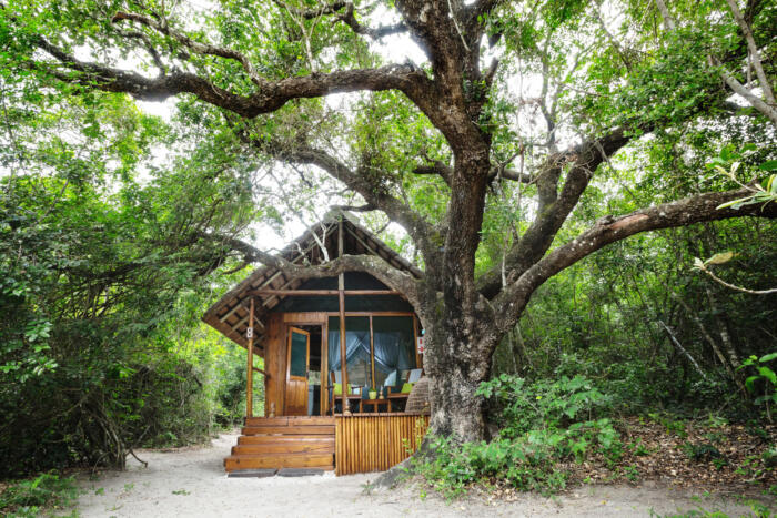 Cedarberg Travel | Kosi Forest Lodge