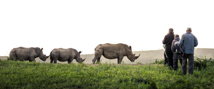 Cedarberg Travel | Rhino Ridge Safari Lodge