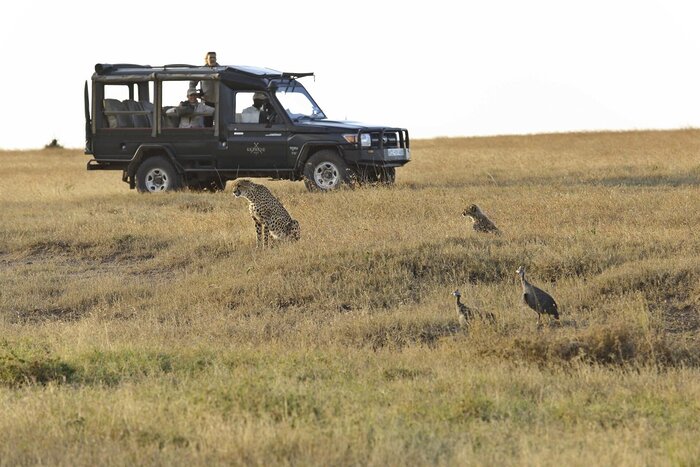 Cedarberg Travel | Kicheche Laikipia Camp