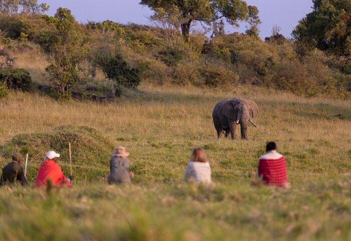 Cedarberg Travel | Kicheche Mara Camp