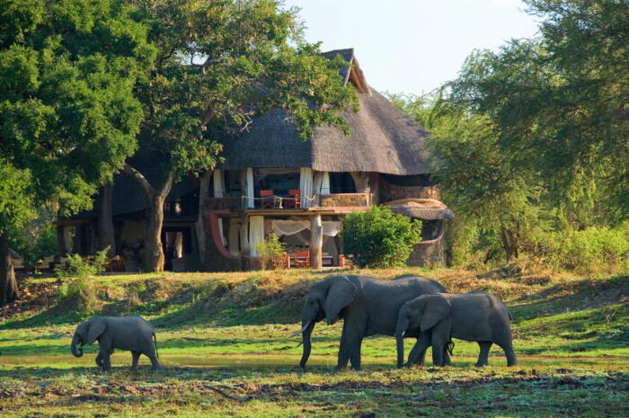 Cedarberg Travel | Luangwa Safari House