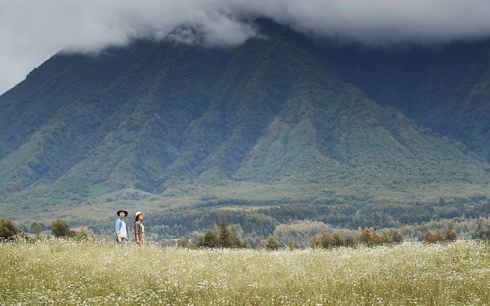 Cedarberg Travel | One&Only Gorilla's Nest