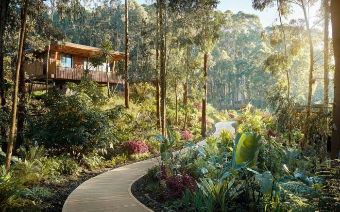 Cedarberg Travel | One&Only Gorilla's Nest