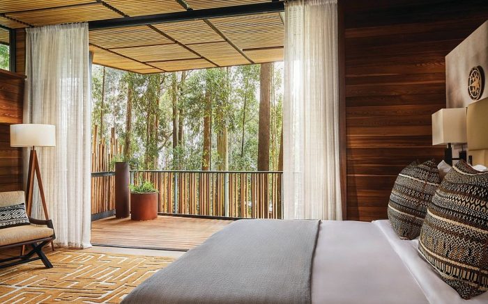 Cedarberg Travel | One&Only Gorilla's Nest