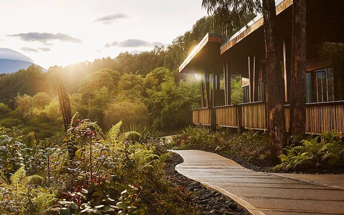 Cedarberg Travel | One&Only Gorilla's Nest