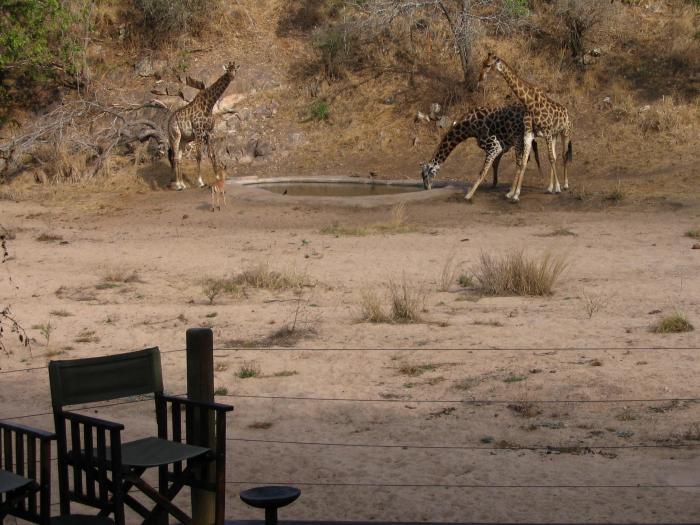 Cedarberg Travel | Rhino Post Safari Lodge