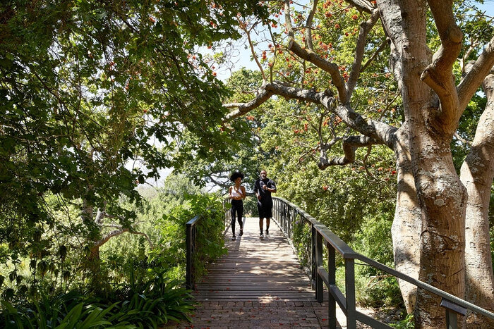 Cedarberg Travel | Spier Hotel