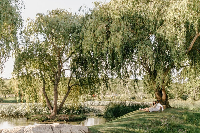 Cedarberg Travel | Spier Hotel