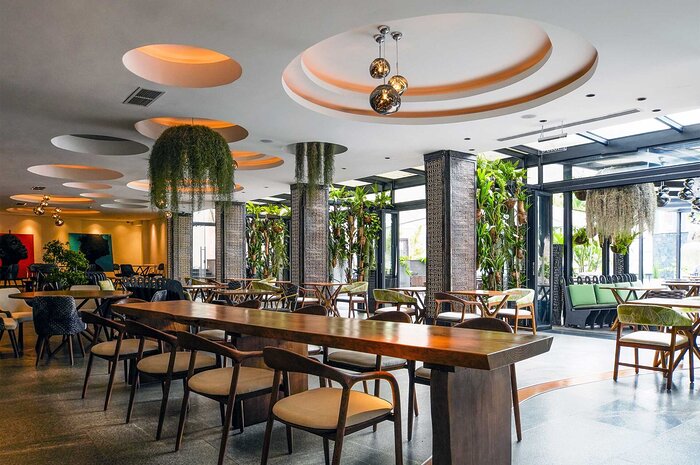 Cedarberg Travel | Tribe Hotel