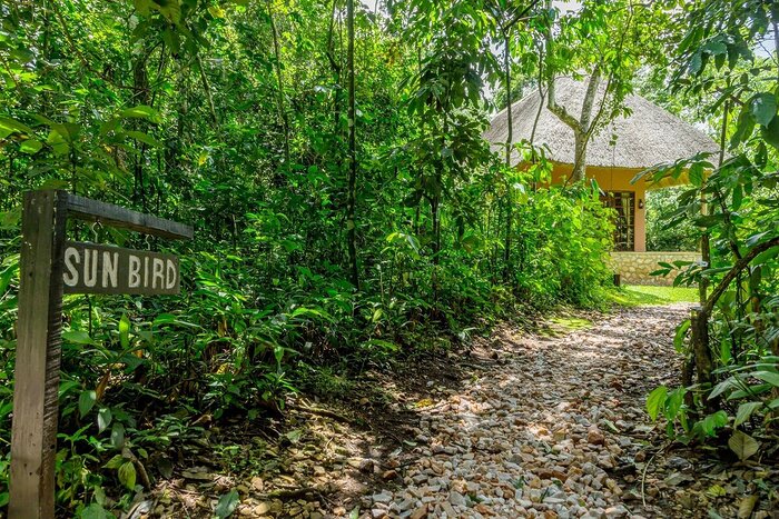 Cedarberg Travel | Primate Lodge Kibale
