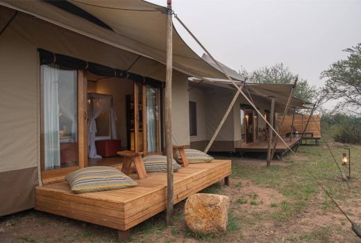 Sayari Camp