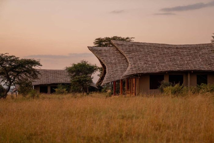 Cedarberg Travel | Naboisho Camp